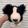 Keel Toys Jessie Border Collie Black White Dog Soft Plush approx. 25 cm. Blue Collar Used Please see photos Image 3