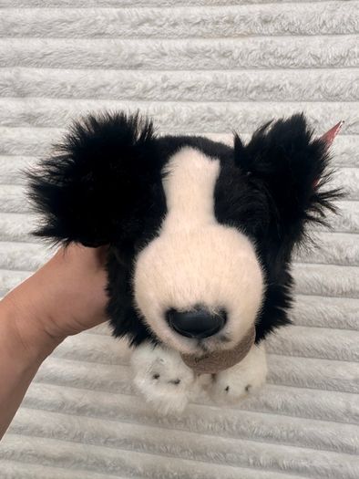 Keel Toys Jessie Border Collie Black White Dog Soft Plush approx. 25 cm. Blue Collar Used Please see photos