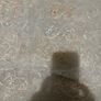 Voile / lace curtains Image 3