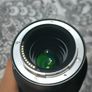Nikon Nikkor Z MC 105mm F/2.8 VR S Macro Image 2