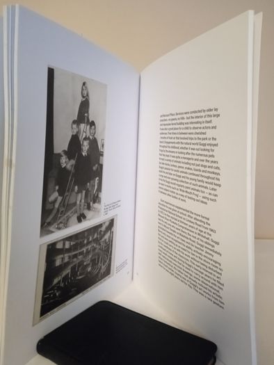 Guggi: Memory to Form, Sculpture and Painting Curated by Dr Jon Wood (HQ213)