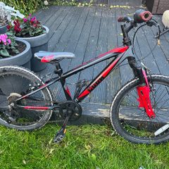 Cube Kids 20 Inch Bike