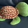 TY turtle tortoise Beanie Boo soft toy 26 cm Image 6
