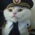FuZZY_Katt