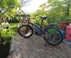 Silverback Junior Mountain bike