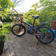 Silverback Junior Mountain bike