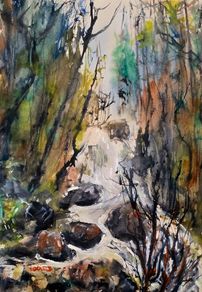 devil's glen Wicklow watercolour