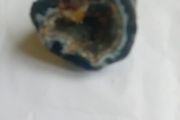 petrified wood piece