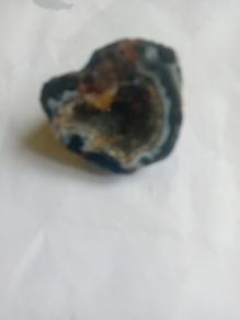 petrified wood piece