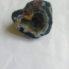 petrified wood piece
