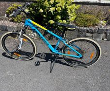 Bike - size 24 "