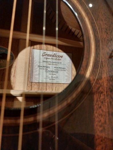 Breedlove Concert Pro guitar.