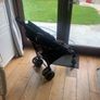 Joie  Buggy for quick Sale Image 2