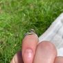 9ct White Gold Diamond Ring Image 6