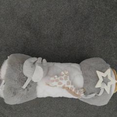 Baby Tummy Roll