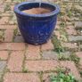 garden Image 4