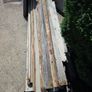 free timber Image 3