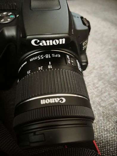 canon 250d