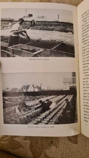 The Early Horticulturists. By Ronald Webber. Printed By David & Charles Newton Abbot. Vintage 1968 Hardback In Good Condition.