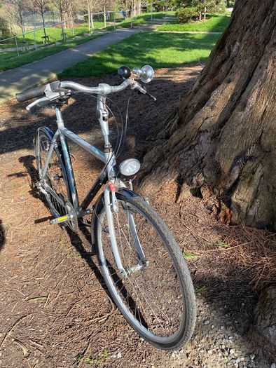 Gazelle 57cm city bike comfortable and reliable