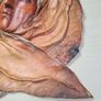 Leather face mask wall art handmade wall hanging Image 4