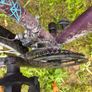 Girls bike Image 3