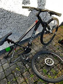 carrera bike