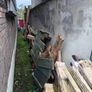 Timber for firewood Image 2