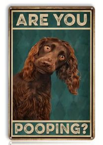 Are You Pooping ; Metal Sign