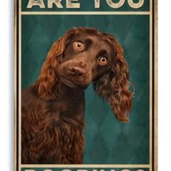 Are You Pooping ; Metal Sign