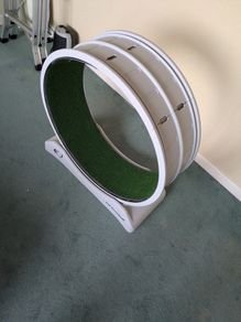 Cat/dog treadmill