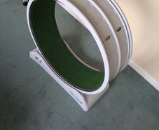 Cat/dog treadmill