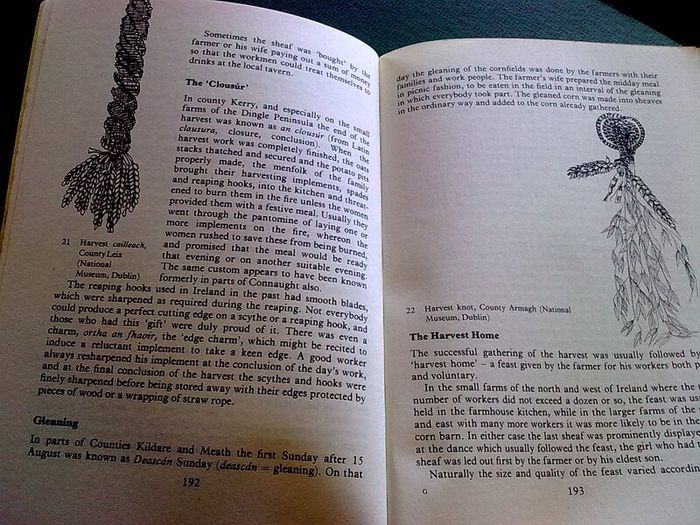 The year in Ireland A calandar by Kevin Danagher Folklore history