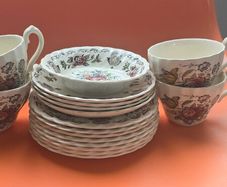 17 Piece Incomplete Vintage Myott Myotts Dynasty Swirl Indian Tree  Teaset Delph HTF Fine Staffordshire Ware