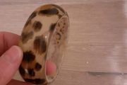 Ladies Bangle