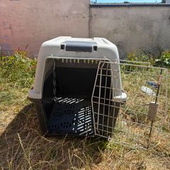 dog box free