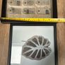 photo/picture frames x 9 Image 7