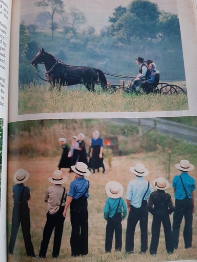 New vintage readers digest