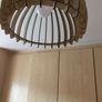 celling light Image 3