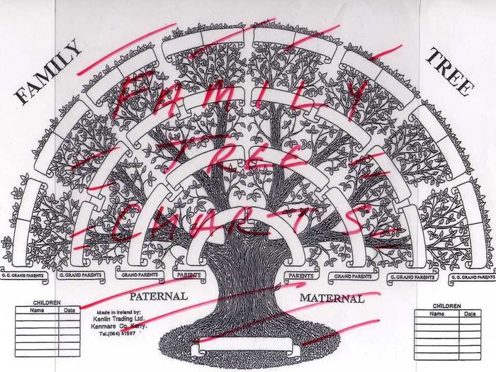 Family Tree Chart