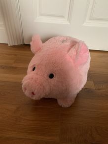 fluffy piggy bank