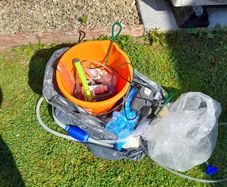 Free fish tank aquarium accessories