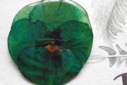 Brooch, Pansy brooch,Flower brooch,Resin jewellery,Jewellery