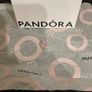 Brand new Pandora Reflexions Clip Image 3