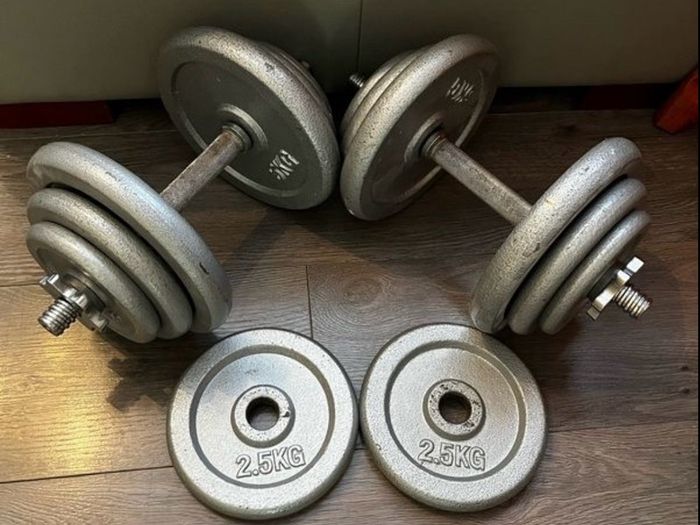 2x19.6kg cast iron spinlock dumbbells