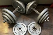 2x19.6kg cast iron spinlock dumbbells