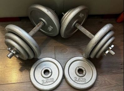 2x19.6kg cast iron spinlock dumbbells