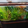 200L curved Aquarium,  Fish tank, fully equipped Image 2