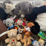 Selection of cuddly toys Image 4