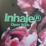 Inhaler open wide exclusive glow in the dark vinyl Image 2